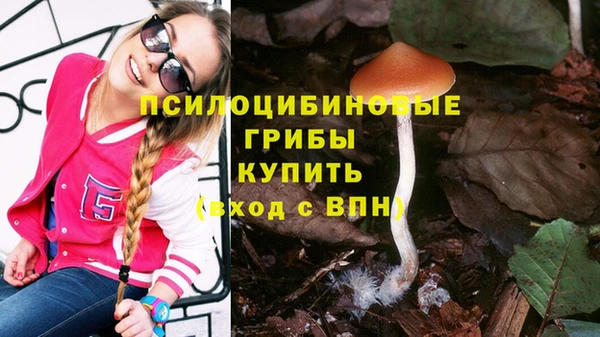 PSILOCYBIN Гусев