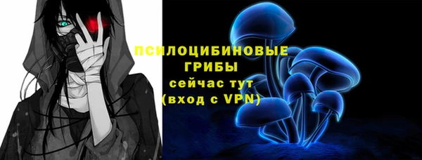 ECSTASY Горно-Алтайск