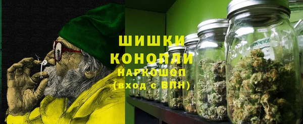 PSILOCYBIN Гусев