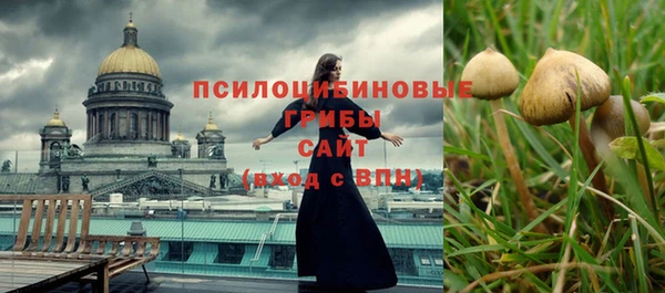 PSILOCYBIN Гусев