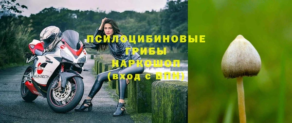 МДПВ Горнозаводск
